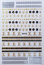 Nail Sticker Brand Name- D052
