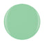 Gelish Dip Powder 23g/0.8oz - MINT CHOCOLATE CHIP #1610085