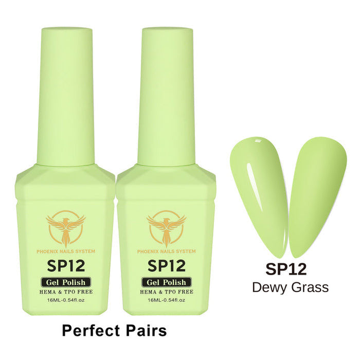 Phoenix Spring Gel Collection 24 Colors - Free Extra 24 Gels + 1 Color Book + Vali - FREE Mica Holder Rack - LIMITED TIME ONLY