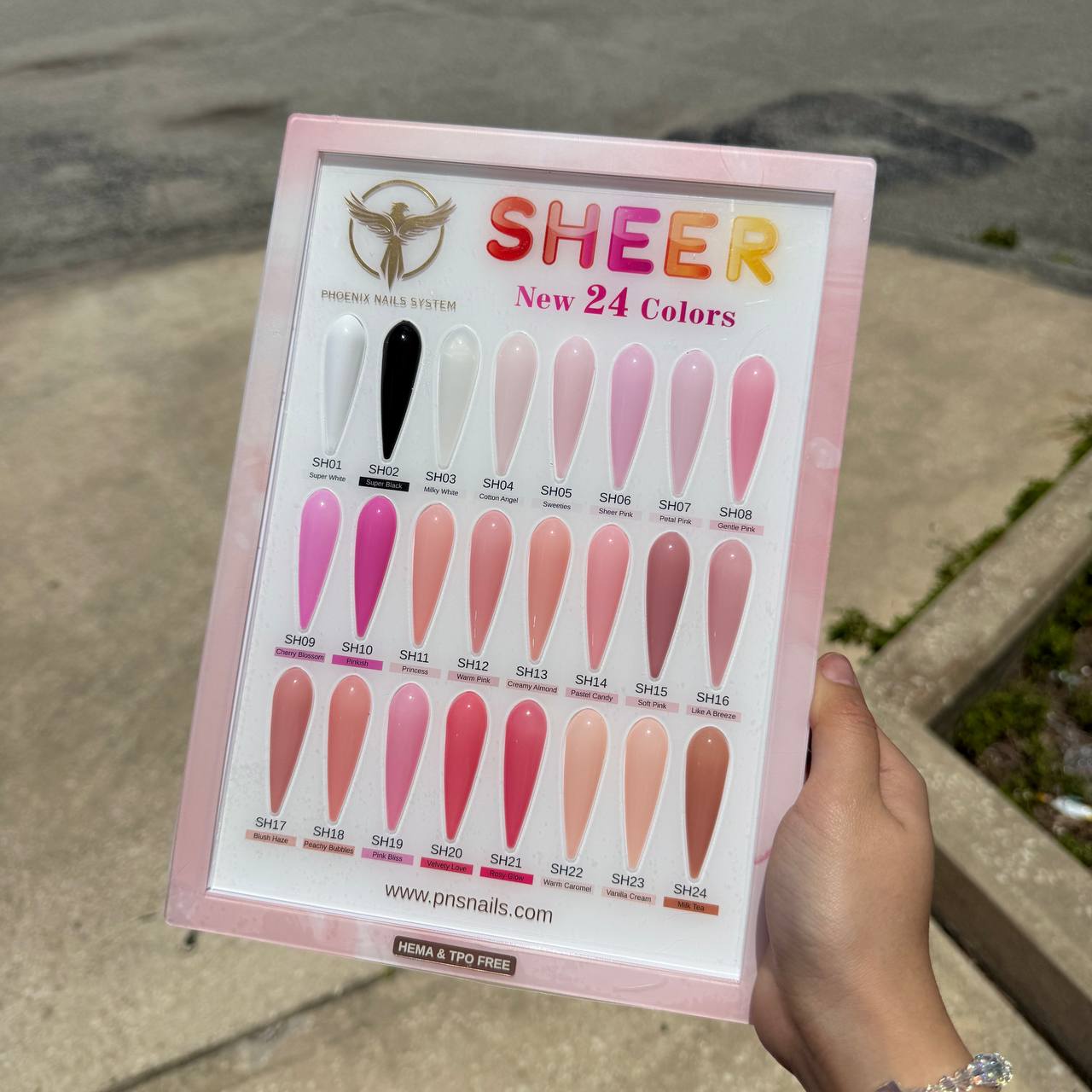 Phoenix Sheer Gel Collection 24 Colors - Free Extra 24 Gels + 1 Color Book + Vali - FREE Mica Holder Rack - LIMITED TIME ONLY