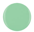 Gelish Dip Powder 23g/0.8oz - MINT CHOCOLATE CHIP #1610085