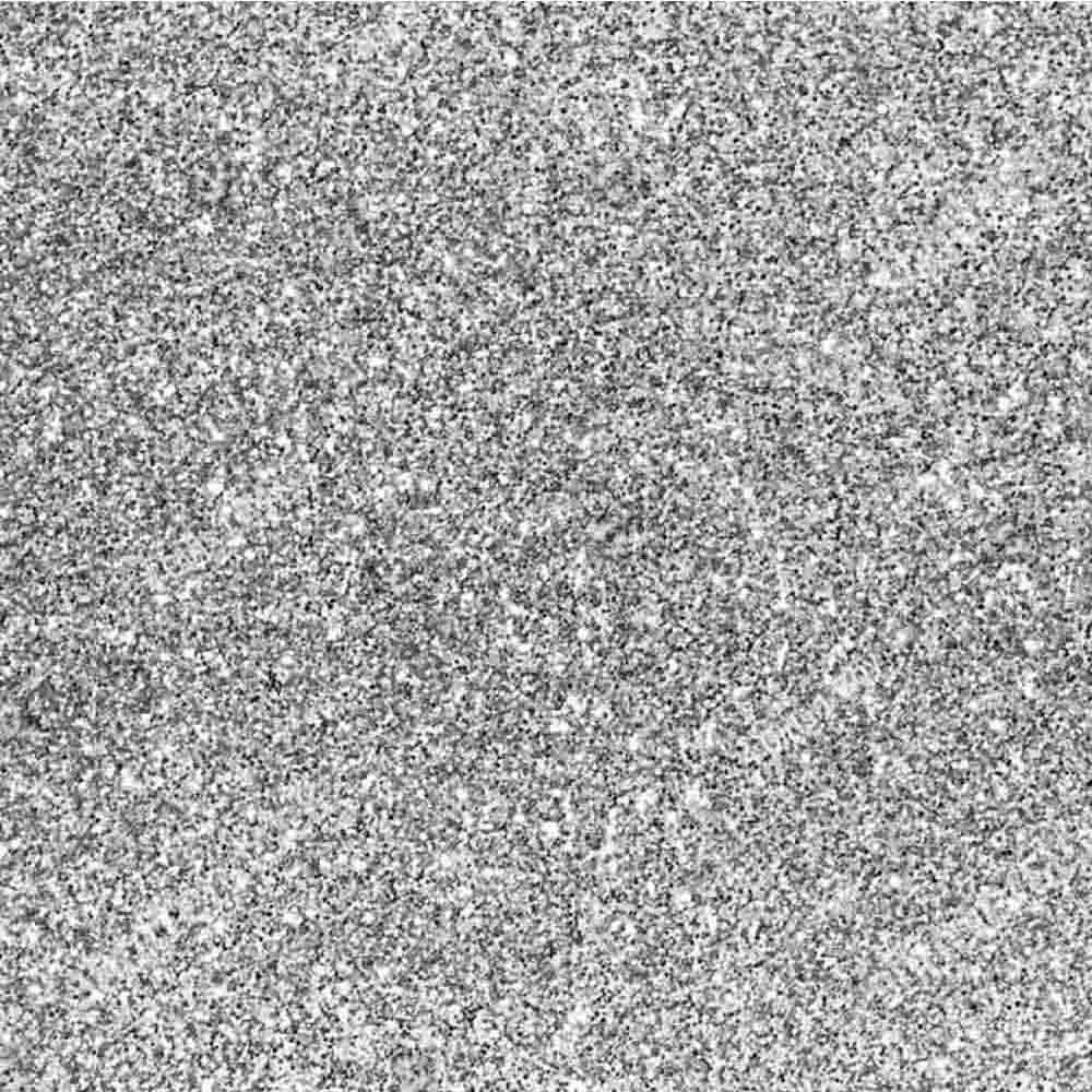 Nugenesis Color Powder - NU 203 Starship