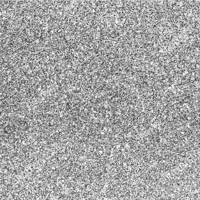 Nugenesis Color Powder - NU 203 Starship Hover Image