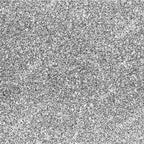 Nugenesis Color Powder - NU 203 Starship
