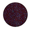 Nugenesis Color Powder - NU 186 Pep In Your Step Main Image