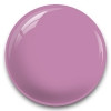 N Hover Image