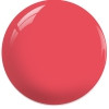 N Hover Image