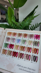 Qéline21 Sheer Beauty Chrome Gel 48 Colors + Free 5 Set Gel Top Base + 2 Chrome Powder