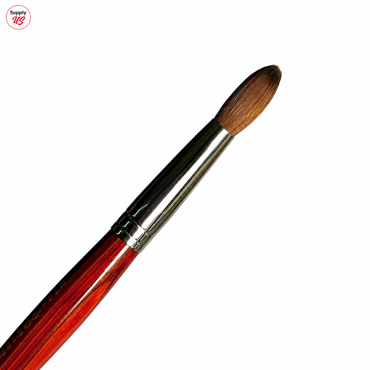AAA Kolinsky Germany Acrylic Brush No.14