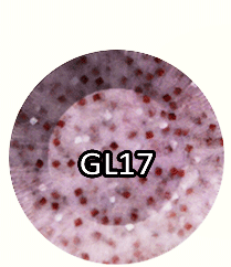 Chisel Acrylic & Dipping 2oz - Glitter GL17 - Glitter Collection Main Image