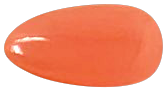 OPI Infinite Shine Coraling Your Spirit Animal ISLM88 Main Image