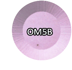Chisel Acrylic &amp; Dipping 2oz - OM5B - Ombre Collection