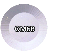 Chisel Acrylic &amp; Dipping 2oz - OM6B - Ombre Collection