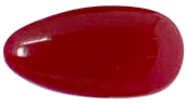 OPI Nail Lacquer Como Se Llama? NLP40