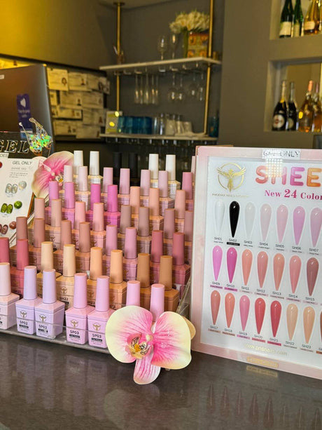 Phoenix Spring Gel Collection 24 Colors - Free Extra 24 Gels + 1 Color Book + Vali - FREE Mica Holder Rack - LIMITED TIME ONLY